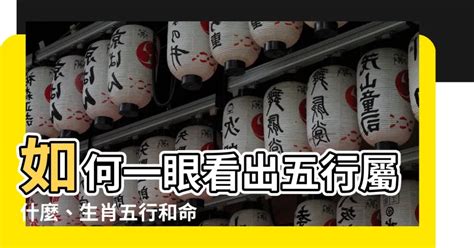 怎麼知道自己五行屬什麼|生辰八字查詢，生辰八字五行查詢，五行屬性查詢